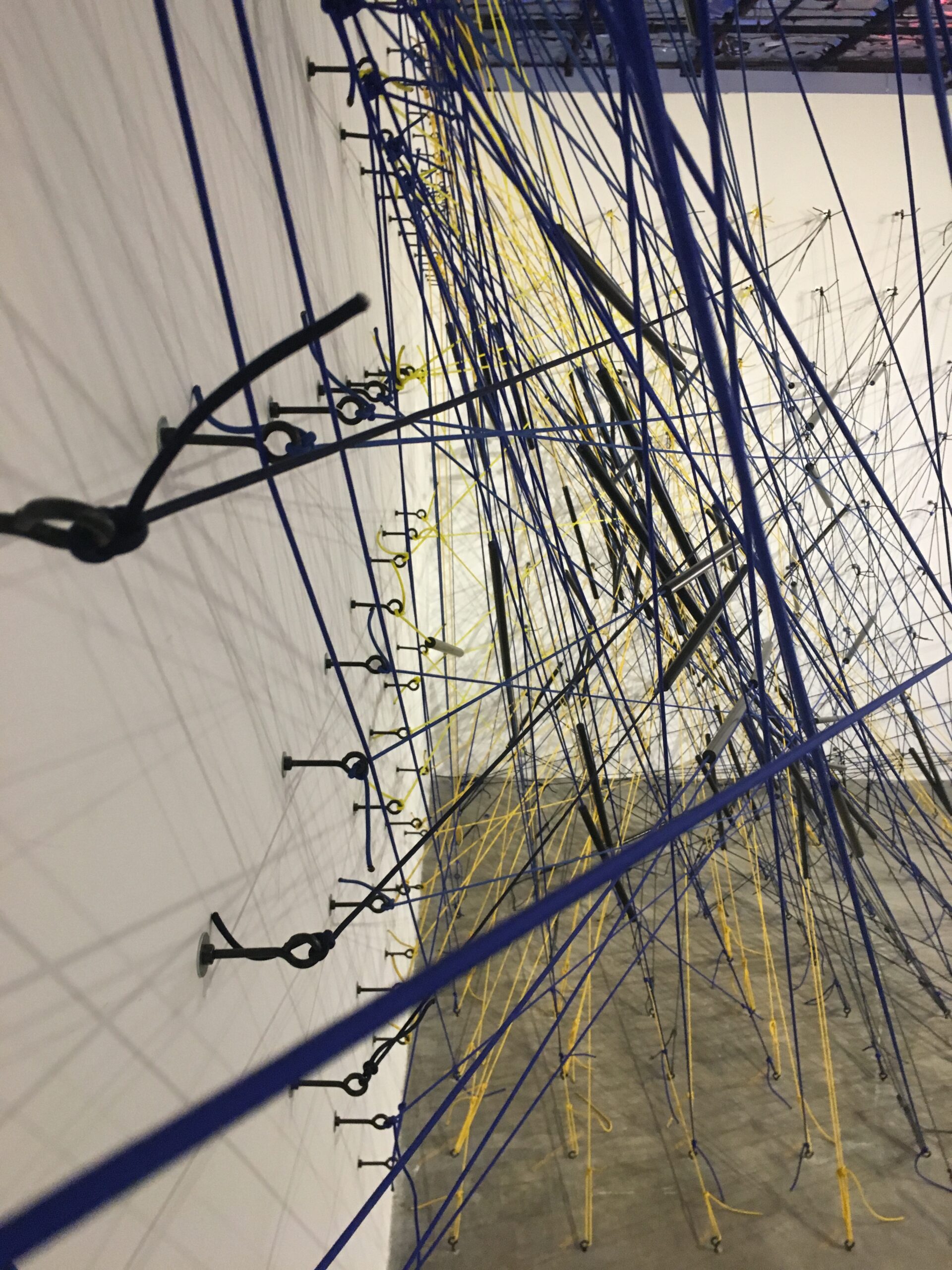 Intesecality Path Visual Intersectionality – Vertebrae